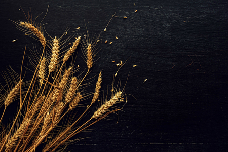 Ears of wheat and grains on dark wooden backgroundの写真素材
