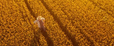 Aerial view of farmer standing in golden ripe wheat field and observing crops. Image is taken from drone pov high angle view in wide cultivated cereal field.の写真素材