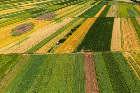 Aerial view of cultivated agricultural fields in summer, beautiful countryside patchwork landscape...