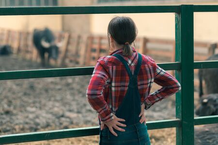 Female farmer at water buffalo farm. Woman farm worker wearing plaid shirt and denim bib overalls looking at domestic water buffalo (Bubalus bubalis) herdの写真素材