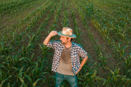Tired exhausted farmer standing in cultivated sorghum field looking over the crops in his sweaty...