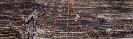 Worn pine wood plank background texture, natural old wood material board pattern