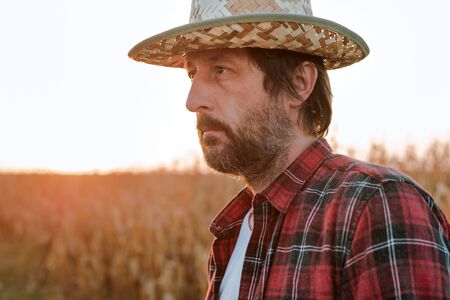 Thoughtful concerned corn farmer agronomist posing in maize crop field, worried about the yield from harvestの写真素材