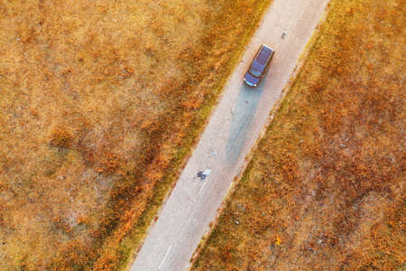Car on the road through autumn countryside, aerial view directly above from drone povの写真素材