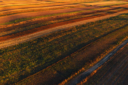 Colorful countryside patchwork background, cultivated agricultural field as abstract pattern in autumn sunset, aerial view from drone povの写真素材