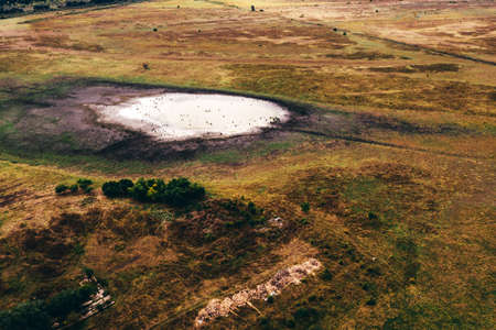 Aerial view of pond in countryside meadow landscape in autumn, drone pov