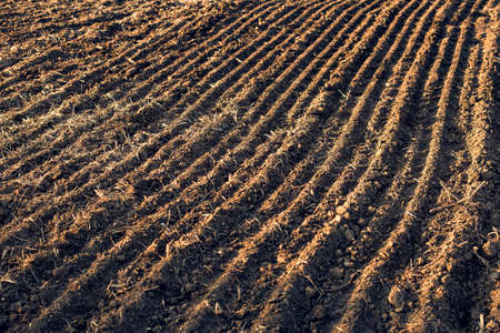 Plowed field as background with selective focusの写真素材