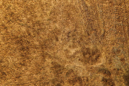 Aerial view of grassland, top view drone photographyの写真素材