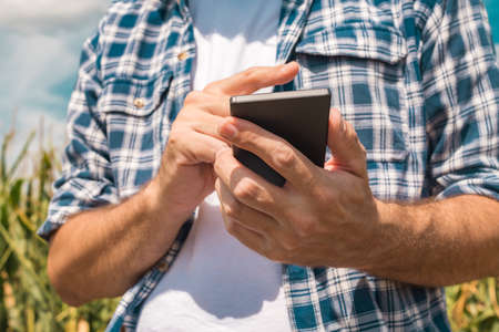 Agronomist typing text message on smartphone out in corn field on bright sunny summer day, using...