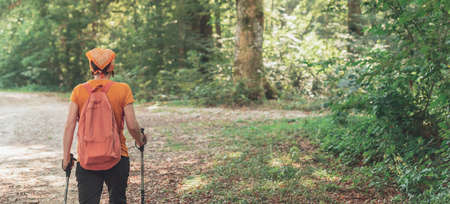 Woman hiker with trekking poles walking forest footpath alone on summer day,active holiday vacation conceptの写真素材