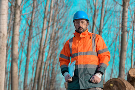 Forestry technician portrait during logging process in forest, holding clipboard notepad for data collectionの写真素材