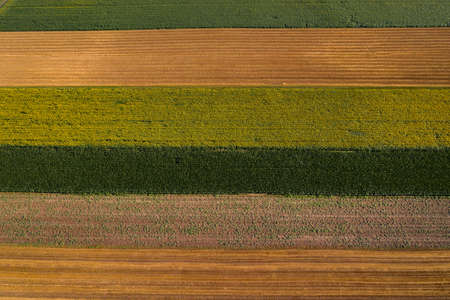 Aerial view of cultivated agricultural fields in countryside from drone pov, abstract rural farmland patchwork as background, top viewの写真素材