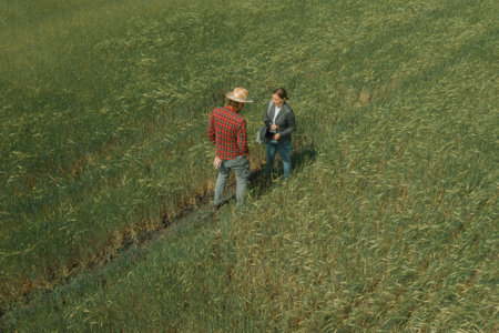 Banker and farmer negotiating bank agriculture loan in barley field, aerial photography from drone povの写真素材