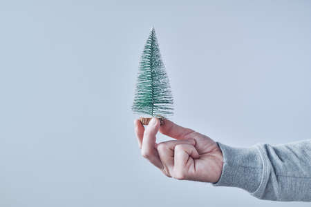 Hand holding small artificial fir tree for Christmas holiday season, copy space includedの写真素材
