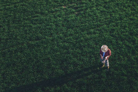 Wheat farmer using drone remote controller in wheatgrass field. Aerial view of male farm worker...