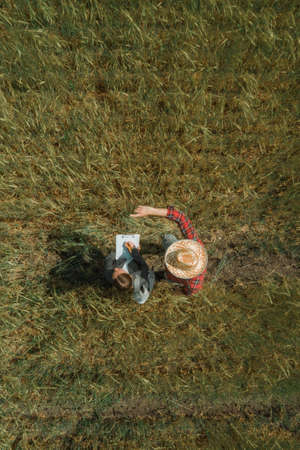 Banker and farmer negotiating bank agriculture loan in barley field, aerial photography from drone...