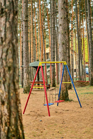 Empty swing in pine wood park in autumn morningの写真素材