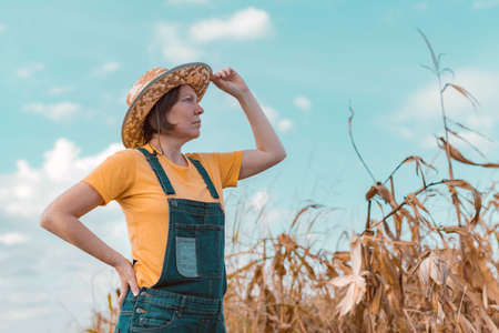 Female corn farmer looking over cornfield, portrait of woman agronomist with straw hat and jeans bib overallsの写真素材