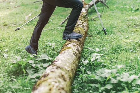 Hiking shoe trekking in woods, selective focus of female hiker feet walking in forestの写真素材