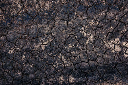 Desiccation cracks texture top view, dried and contracted muddy sediment from aboveの写真素材