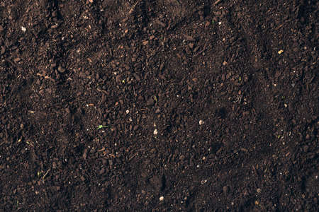Botany humus compost mix top view, abstract natural texture