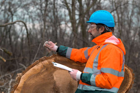 Forestry technician posing with clipboard notepad next to a tree log in forest, confident male professional collecting data on fieldの写真素材