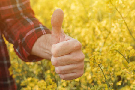 Rapeseed farmer gesturing thumbs up on cultivated field, close up of hand with selective focusの写真素材