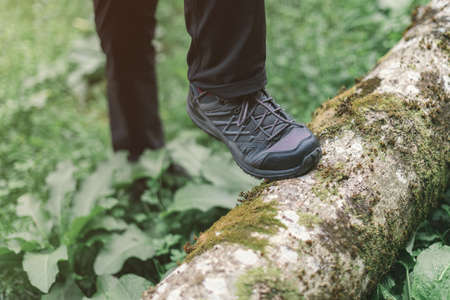 Hiking shoe trekking in woods, selective focus of female hiker feet walking in forestの写真素材