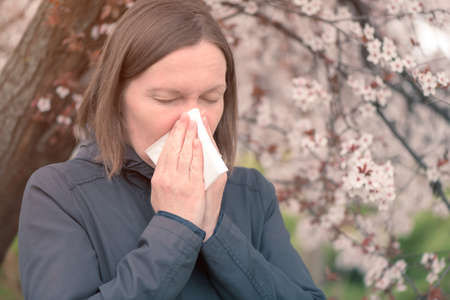 Tree pollen allergy in springtime concept, woman blowing and wiping her nose with paper handkerchiefの写真素材