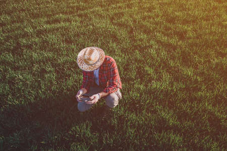 Wheat farmer using drone remote controller in wheatgrass field. Aerial view of male farm worker...