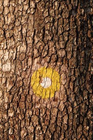 Yellow dot marking for hiking path on tree trunk in natural parkland