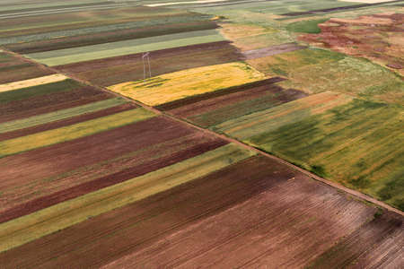 Aerial view of cultivated fields, drone photography as abstract natural background patternの写真素材