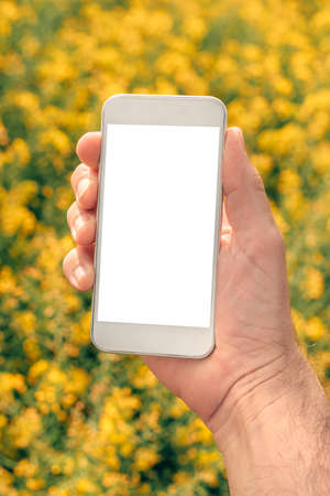 Farmer with smartphone mock up screen in rapeseed field, close up of male hand holding mobile phone with clean blank white screenの写真素材