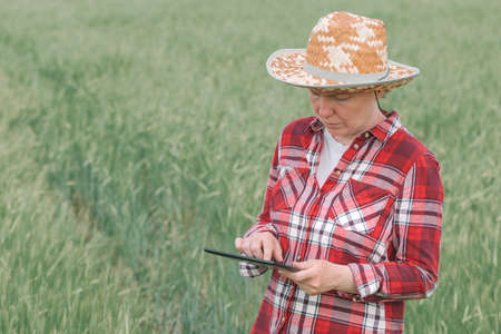 Female farmer agronomist using digital tablet in barley field, smart farming conceptの写真素材