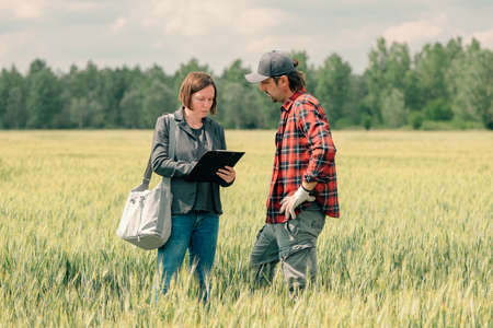 Mortgage loan officer assisting farmer in financial allowance application process, banker and farm worker in wheat field.の写真素材
