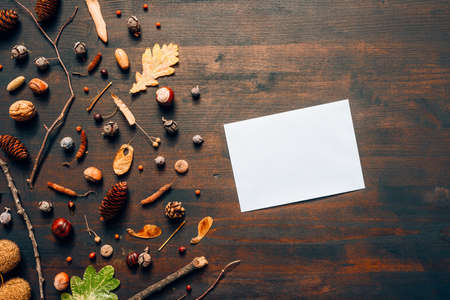 Blank mail envelope mock up top view flat lay with autumn season decorationの写真素材