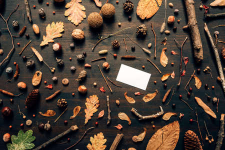 Empty business card mock up with autumn decoration, flat lay top view copy space graphic design...