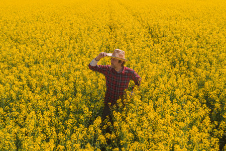 Oilseed rape farmer looking over cultivated field in bloom, high angle view of agronomist standing in blossoming rapeseed plantationの写真素材