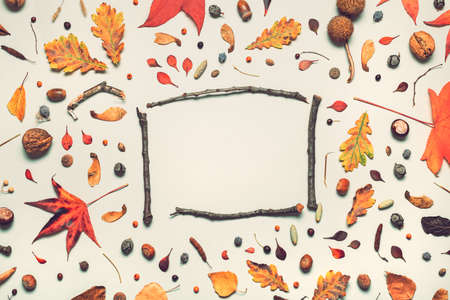 Tree branches frame and autumn season decoration arrangement flay lay copy space top view