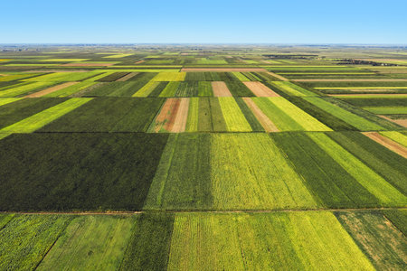 Aerial view of beautiful plain countryside landscape with cultivated fields of corn and sunflower...