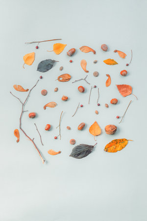 Fall season flat lay decoration background, top view vibrant pattern arrangementの写真素材
