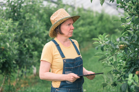 Female farmer using tablet computer in organic apple fruit orchard, innovative technology in locally...