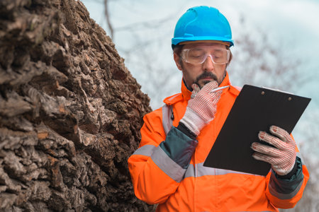 Forestry technician reading notes on clipboard notepad paper in forest during logging deforestation processの写真素材