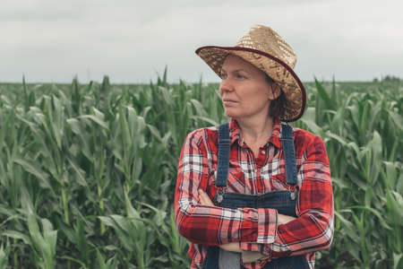 Portrait of female farmer standing in corn field, woman farm worker in maize plantation