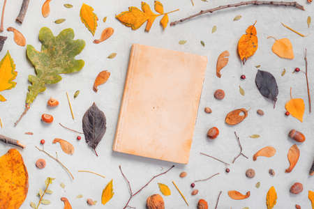 Vintage book cover mock up with autumn decoration, flat lay top view copy spaceの写真素材
