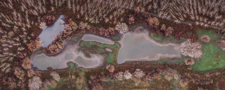 Aerial top view panoramic photo of pond and forest in winter with birds in water. Banat region in...