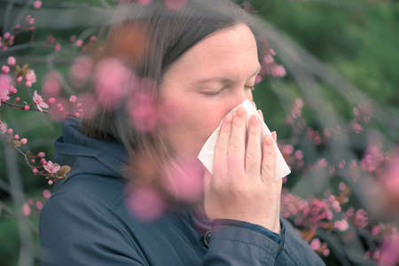 Woman sneezing in front of blooming cherry tree in spring allergy concept, selective focusの写真素材