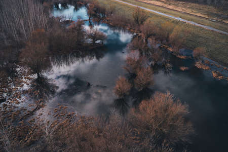 Floodplain wooded area from drone pov in winter afternoon