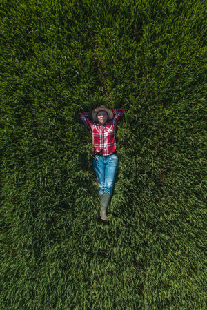 Aerial view of female farmer laying in green wheat field and resting, top down drone pov of woman...