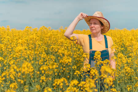 Female farmer agronomist posing in blooming rapeseed crops field and looking over plantation in...